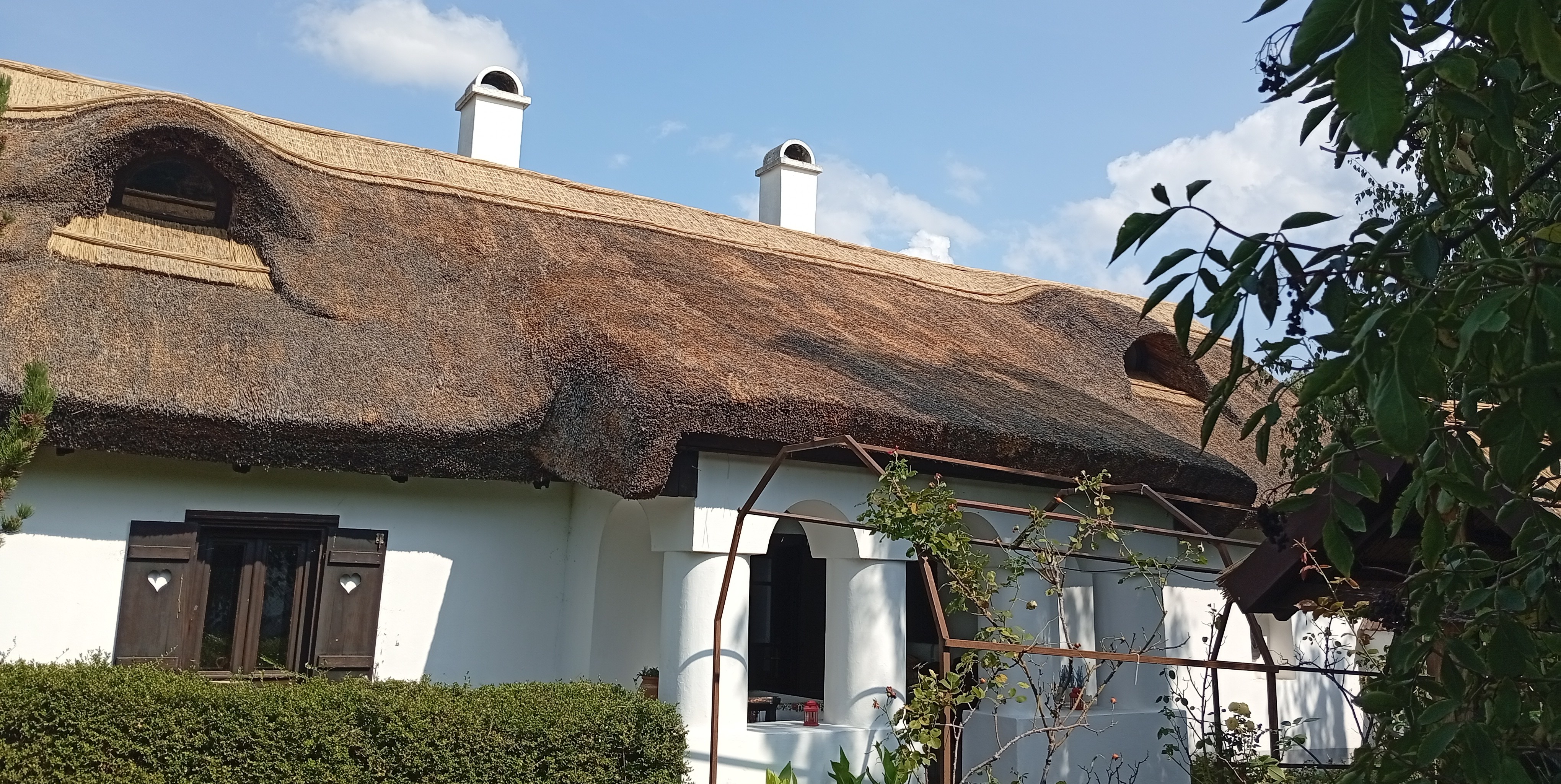 Nádtető karbantartás