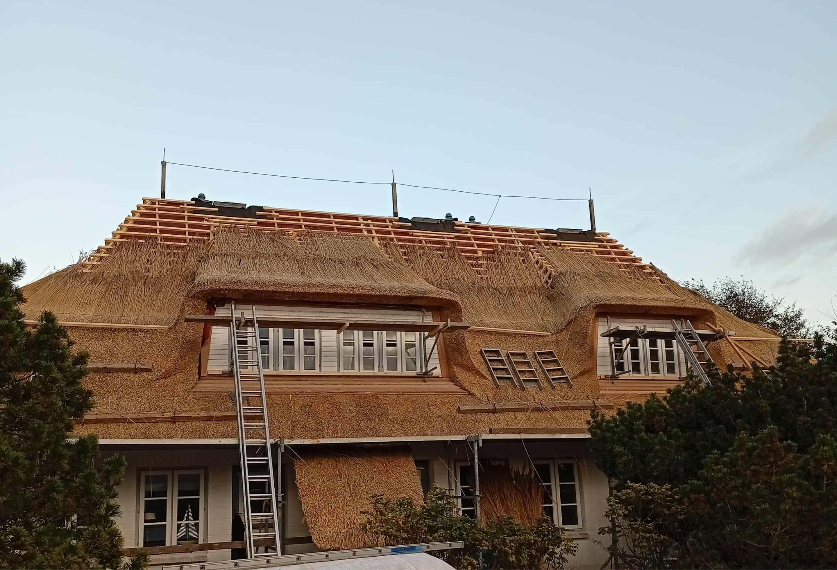 Új nádtető építés